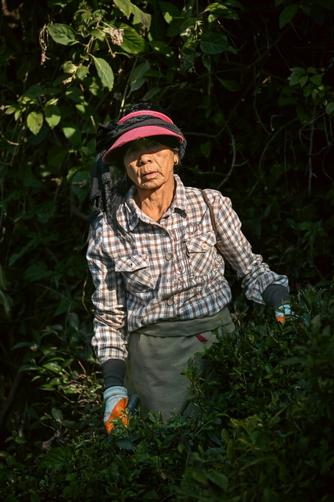 pexels-kolkatarchobiwala-33282696