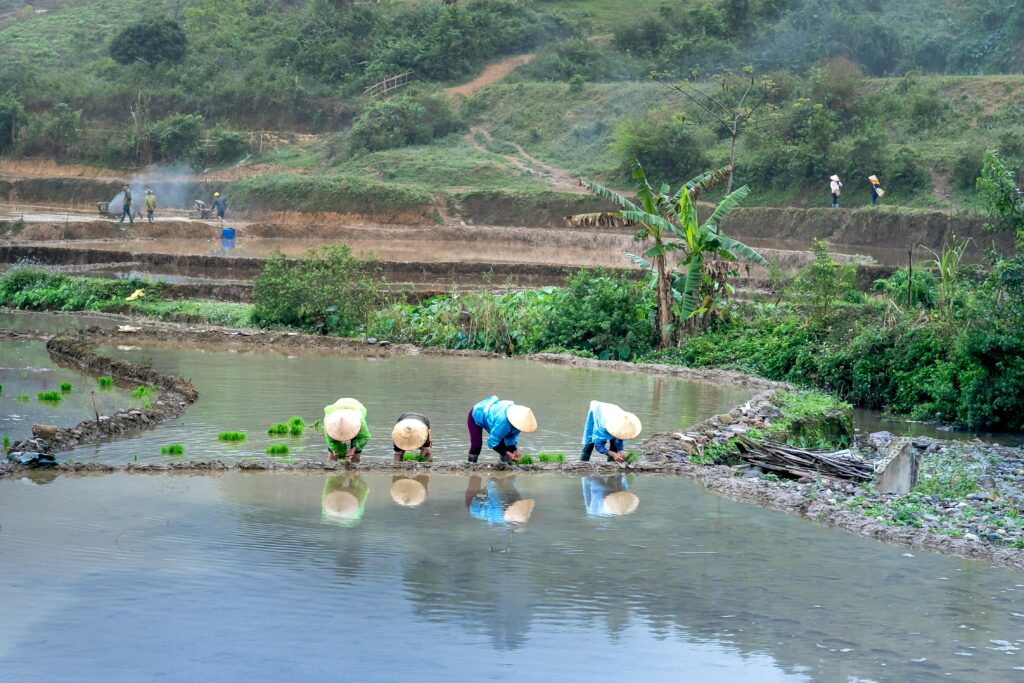 pexels-quang-nguyen-vinh-222549-3232602